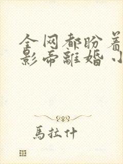 全网都盼着我和影帝离婚 小说