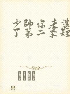 少帅你老婆又跑了第二季短剧