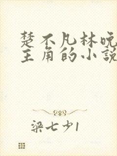 楚不凡林晚歌为主角的小说