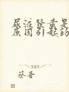 尿液发黄是什么原因引起的