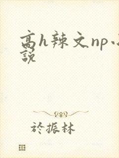 高h辣文np小说