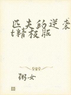 匹夫的逆袭txt精校版