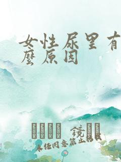 女性尿里有血什么原因