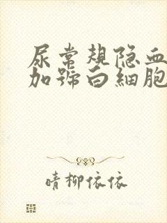 尿常规隐血2个加号白细胞2个加