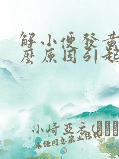 解小便发黄是什么原因引起的