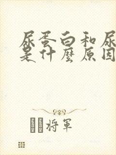 尿蛋白和尿隐血是什么原因引起的