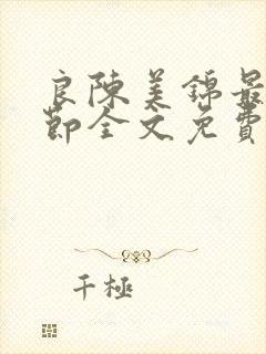 良陈美锦最新章节全文免费阅读