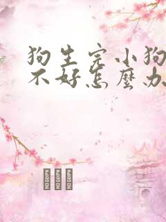 狗生完小狗食欲不好怎么办