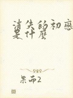 消失的初恋结局是什么