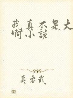 我真不是大反派啊小说