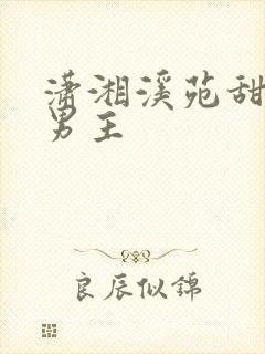 潇湘溪苑甜宠双男主