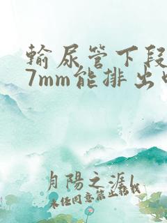 输尿管下段结石7mm能排出吗