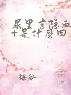 尿里有隐血10+是什么回事