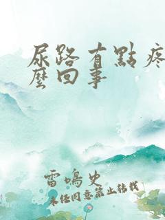 尿路有点疼是怎么回事