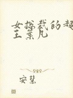 女总裁的超级兵王叶凡