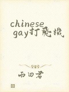 chinese gay打飞机