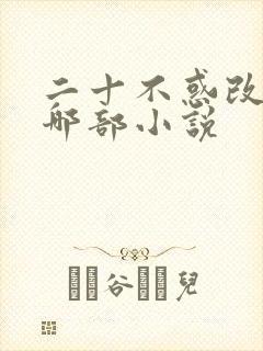 二十不惑改编自哪部小说