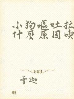 小狗呕吐拉稀是什么原因吃什么药好