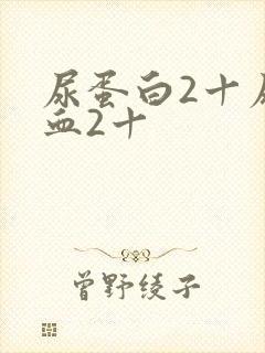 尿蛋白2十尿隐血2十