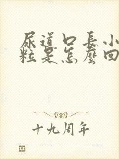 尿道口长小肉颗粒是怎么回事