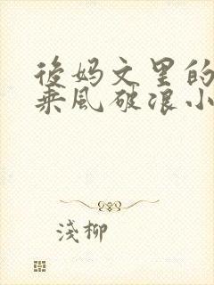 后妈文里的亲妈乘风破浪小说免费阅读