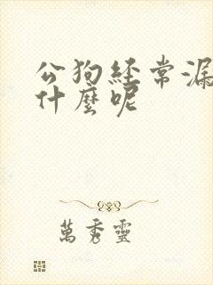 公狗经常漏尿为什么呢