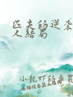 匹夫的逆袭所有人结局