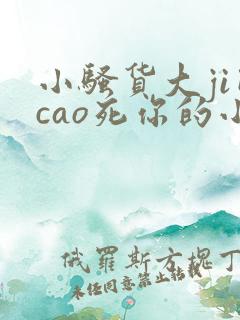 小骚货大ji巴cao死你的小说