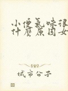 小便气味很重是什么原因女