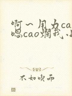 啊～用力cao嗯cao烂我小说