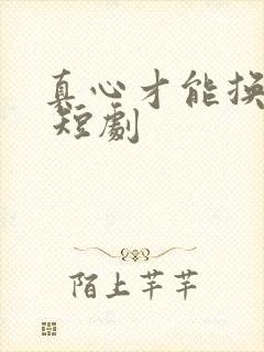 真心才能换真心 短剧