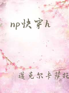 np快穿h