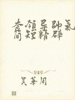 夸领导帅气的话简短精辟