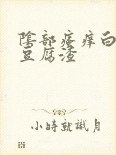 阴部瘙痒白带黄豆腐渣