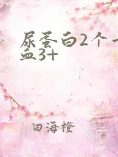 尿蛋白2个十隐血3+