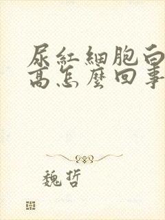 尿红细胞白细胞高怎么回事