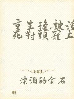 重生后,被渣男死对头宠上天