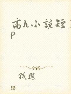 高h小说短篇np