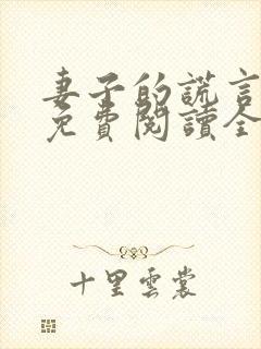 妻子的谎言小说免费阅读全文