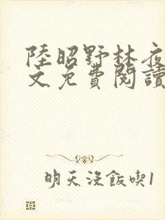 陆昭野林夜棠全文免费阅读最新章节