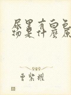 尿里有白色絮状物是什么原因