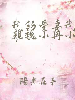 我的爱妻我的父亲魏小冉小说