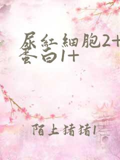 尿红细胞2+尿蛋白1+