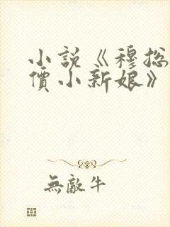 小说《穆总的天价小新娘》