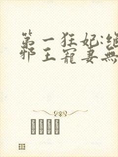 第一狂妃:绝色邪王宠妻无度