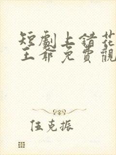 短剧上错花轿嫁王爷免费观看