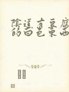 阴道有豆腐渣状的白色东西