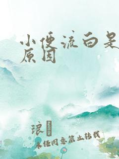 小便流白是什么原因