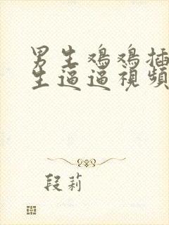 男生鸡鸡插进女生逼逼视频