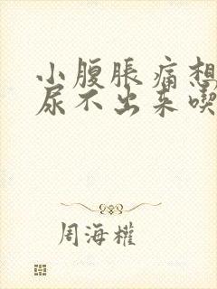 小腹胀痛想尿又尿不出来吃什么药